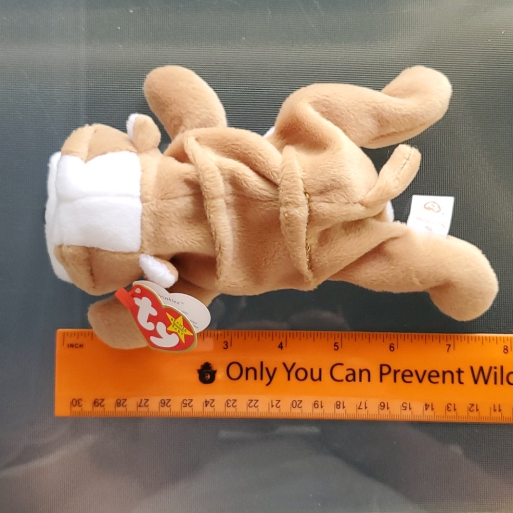 Retired TY Beanie Baby "Wrinkles"